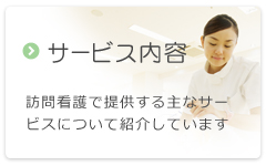 サービス内容